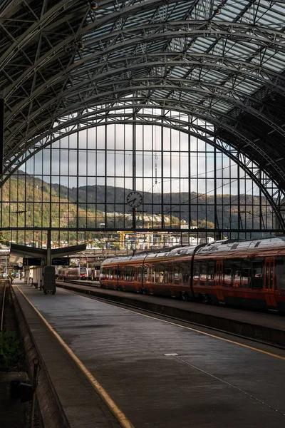 Tren istasyonunda bekliyor. Arka planda dağ manzarası var.