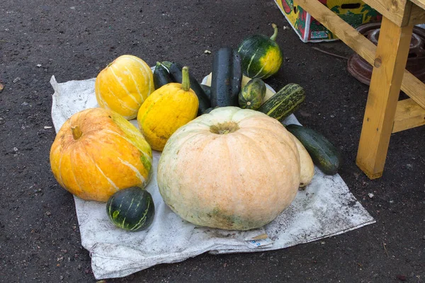 Piyasada farklı türde balkabakları satılıyor.