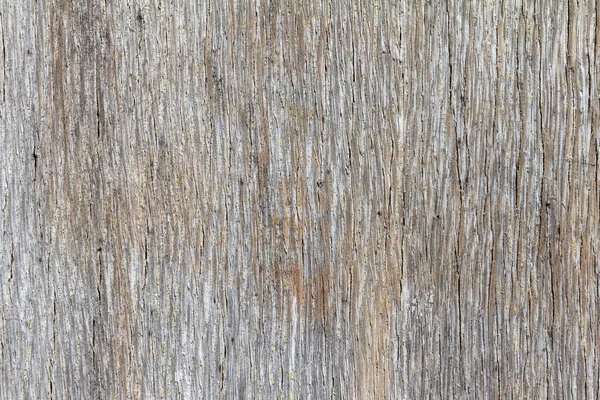 Eski kontrplak 'ın kaba yüzeyi