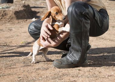 deri kaplı subay adam ve sevimli köpek arkadaşı