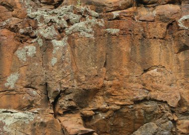 bir uçurum dokulu rock yüzünde liken