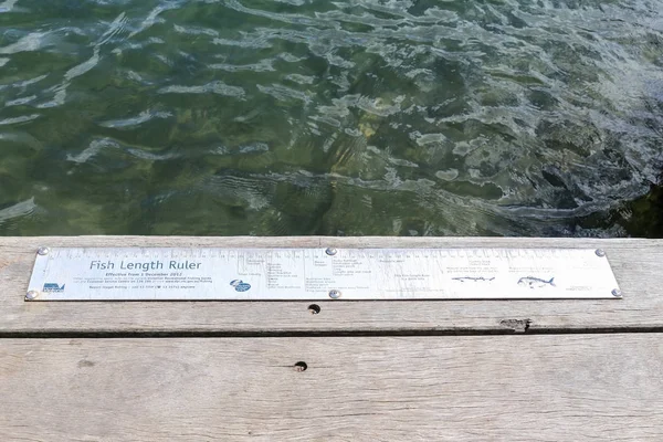 Balık uzunluğu cetveller yardımcı olur eğlence anglers yakalamak FCC özellikle en az yasal uzunlukları