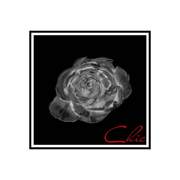 Cuadrado negro con flor — Foto de Stock