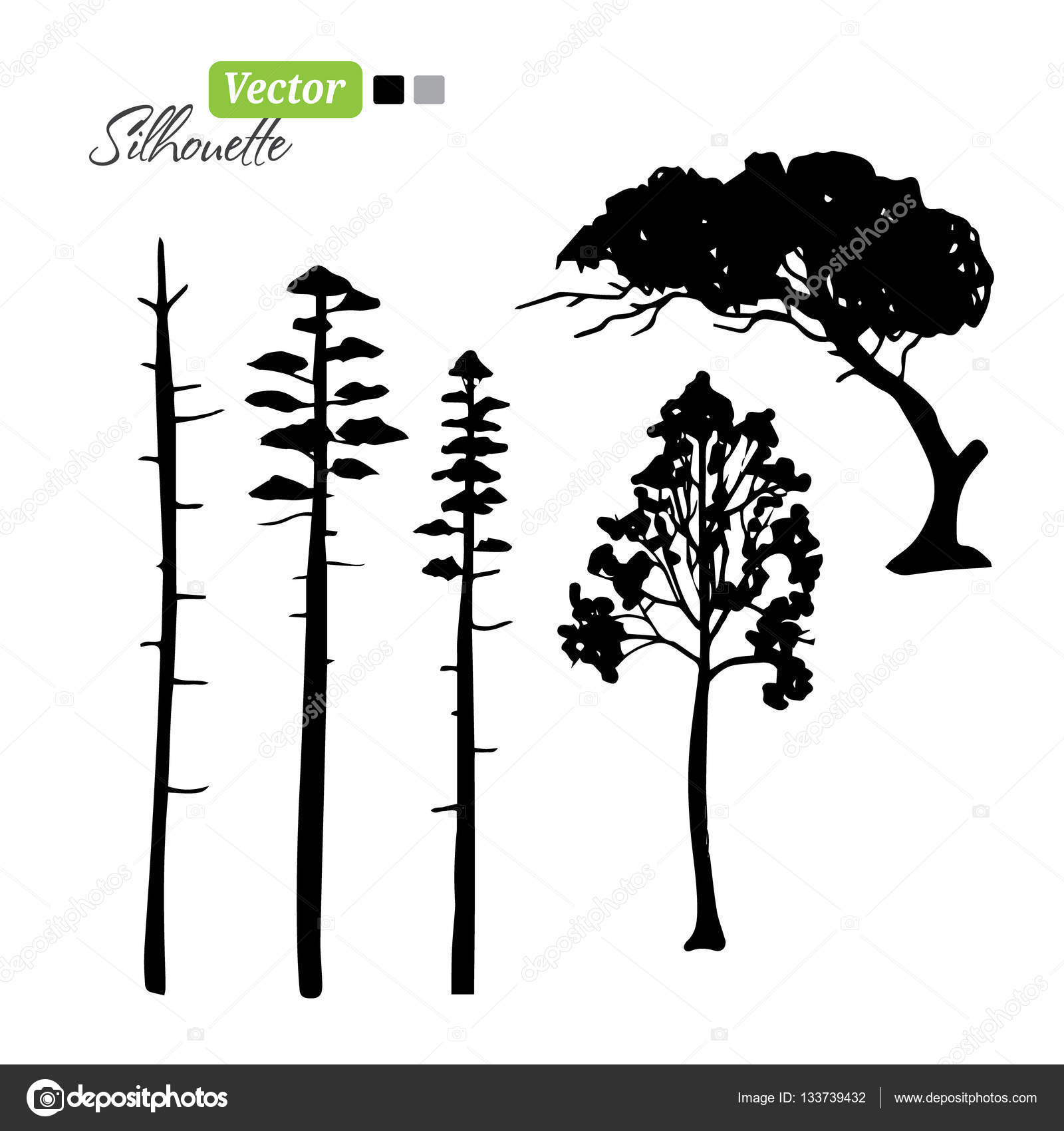 Immagini vettoriali stock di Sagome di conifere | DepositPhotos, image size:1600x1700