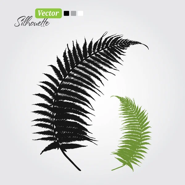 Fern tak silhouetten — Stockvector