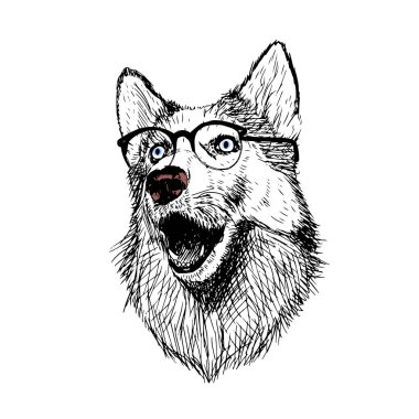 gözlük ile şirin köpek