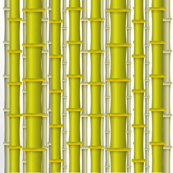 Bright green bamboo — Stock Vector
