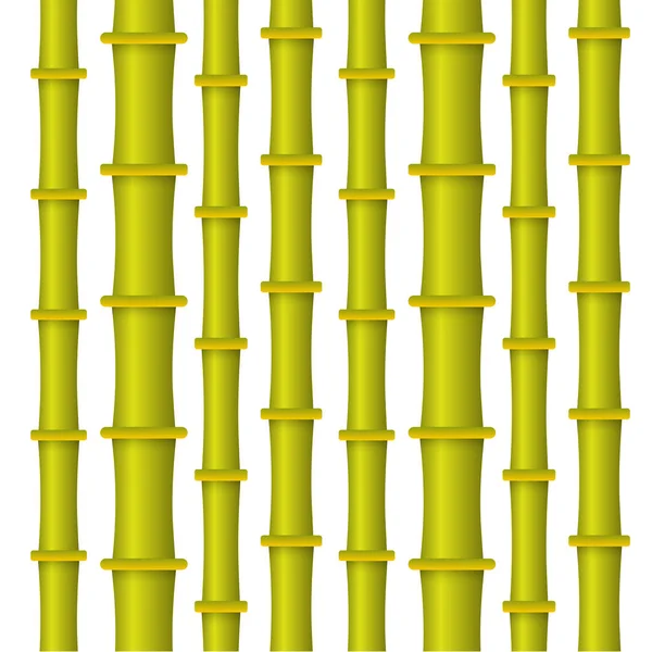 Bright green bamboo — Stock Vector