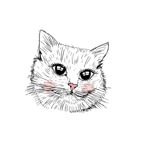 可爱的猫咪与粉红的鼻子 — 图库矢量图片