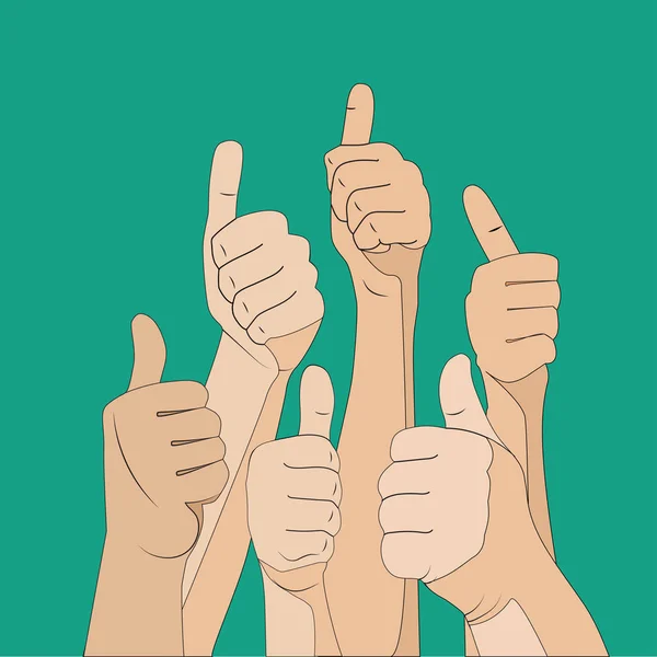 Hands with thumbs up — Stock Vector