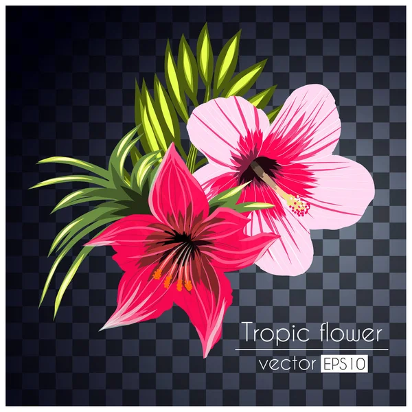Gekleurde tropische bloemen — Stockvector