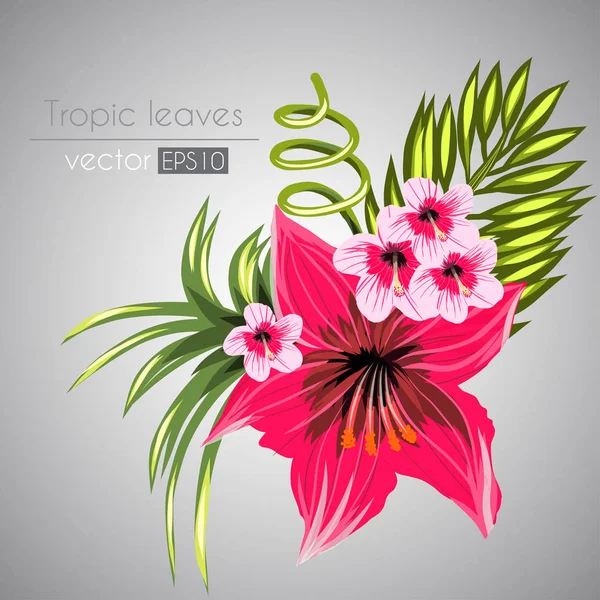 Gekleurde tropische bloemen — Stockvector