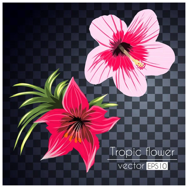 Gekleurde tropische bloemen — Stockvector