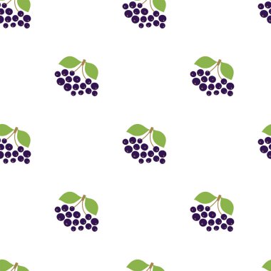 Böğürtlen. Kusursuz desen. Vektör çilekleri. Organik iyileşme