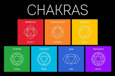 Çakralar ayarlayın: muladhara, swadhisthana, manipura, anahata, vishuddha, ajna, sahasrara. Vektör çizgisi sembolü. Om işareti