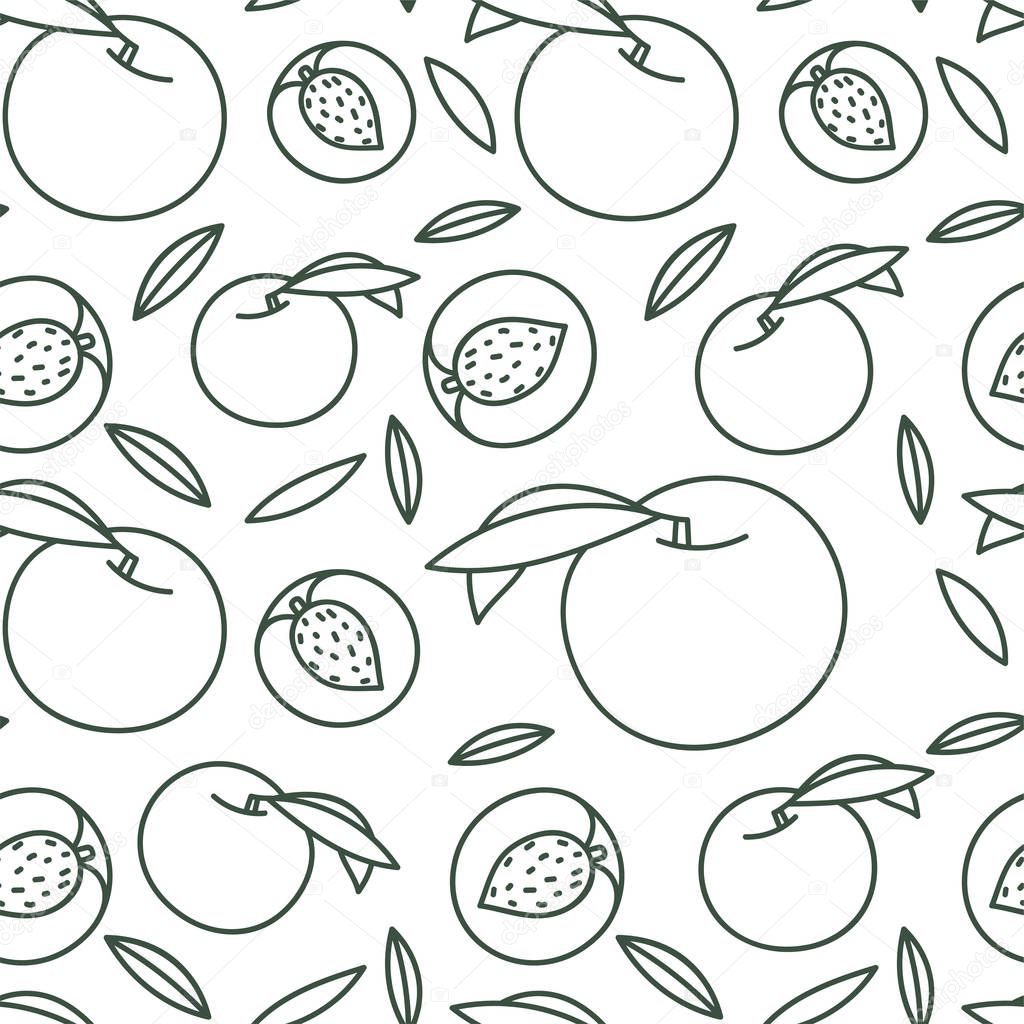 Peach seamless pattern. Hand drawn fresh exotic fruit. Vector sk