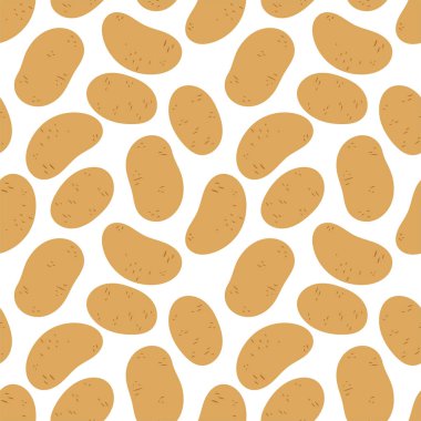 Patates pürüzsüz desen. Çiğ sebze. El çizimi karalama vektörü