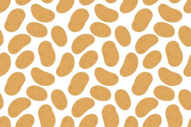 Patates pürüzsüz desen. Çiğ sebze. El çizimi karalama vektörü