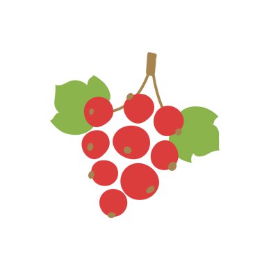 Frenk üzümü. Vektör çileği. Doğal sağlıklı yiyecekler. El yapımı meyveler.