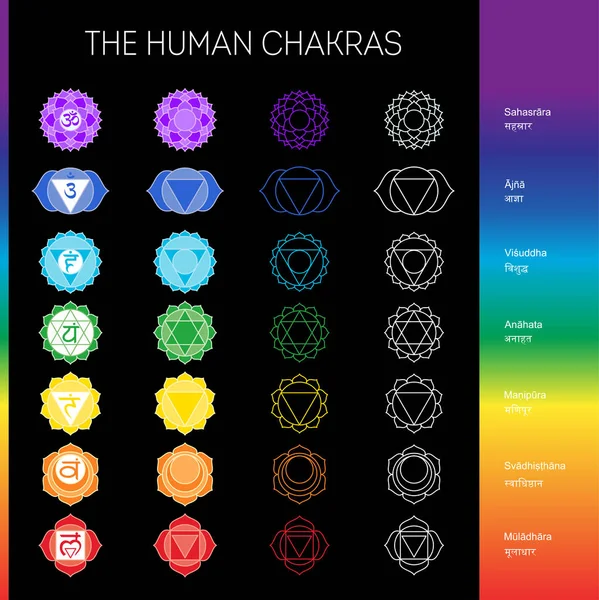 Diferentes Signos Espacio Copia — Vector de stock