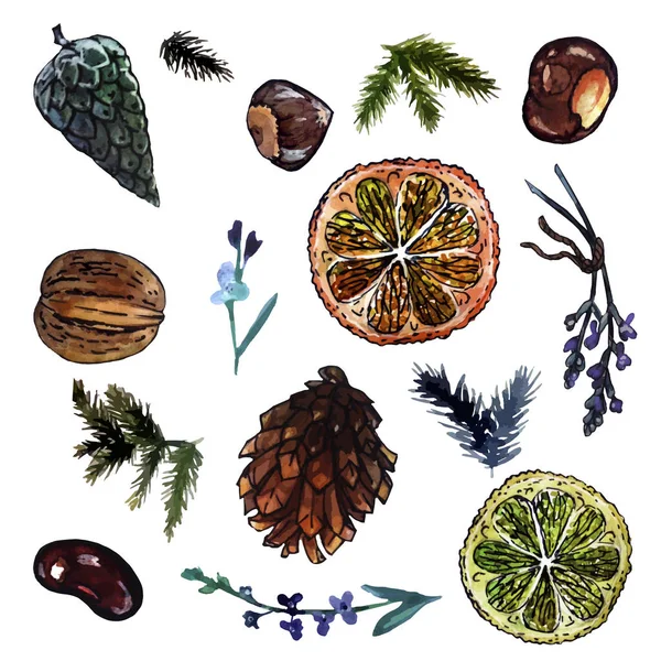 Noel süslemeleri için doğal unsurlar