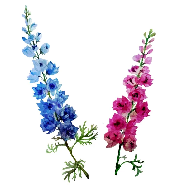 Flores Aquarela Vetor Delphinium — Vetor de Stock