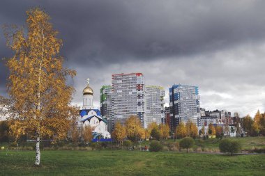 Park Okkervil sarı yaprakları ile huş