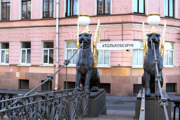 Russia Saint Petersburg April 2020 Restored Griffins Bank Bridge Request — Stock Photo, Image