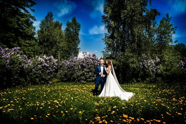 Düğün çifti. Güzel gelin ve damat.