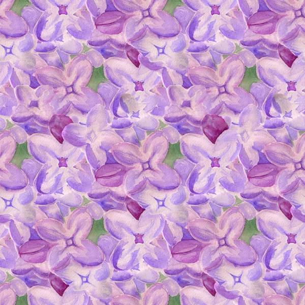 Bezešvé pozadí s Lila květy — Stock fotografie