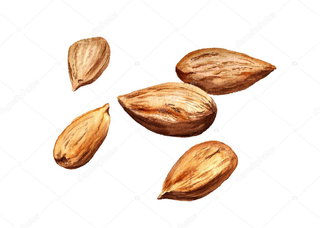 Several dried almonds
