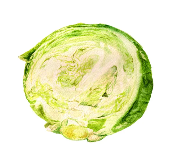 Half of cabbage — Stock Photo, Image