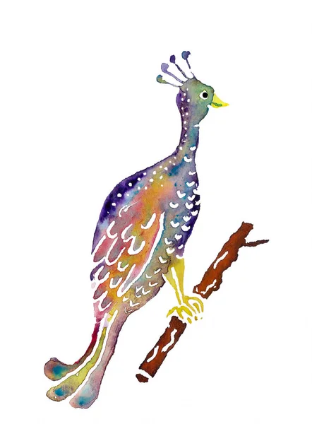 Dekorativ akvarell påfågel — Stockfoto
