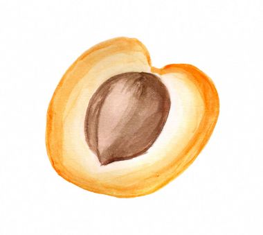 Suluboya yarı kayısı