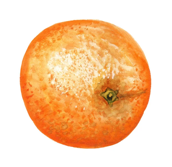 Naranja madura entera — Foto de Stock