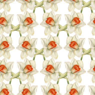 Nergis ile Seamless Modeli