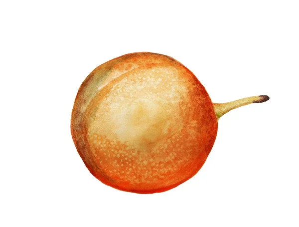 달콤한 granadilla 과일 — 스톡 사진