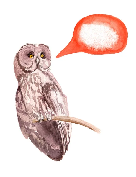 Brown owl with speech bubble — Stock Photo, Image