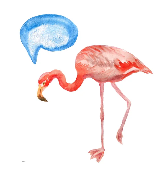 Flamingo roz cu balon de vorbire — Fotografie, imagine de stoc