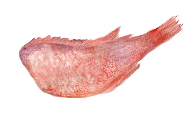 Carcass of rockfish — Stock Photo, Image