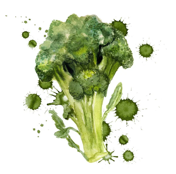 Brócolis com manchas de tinta — Fotografia de Stock