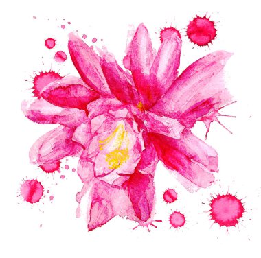  boya lekesi ile kırmızı çiçek 