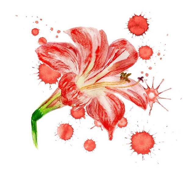 Red flower with paint blots — Stock Photo, Image