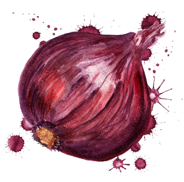 Cebolla roja con manchas de pintura —  Fotos de Stock