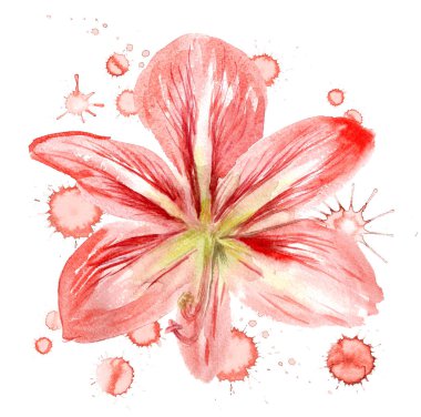 boya lekesi ile pembe çiçek