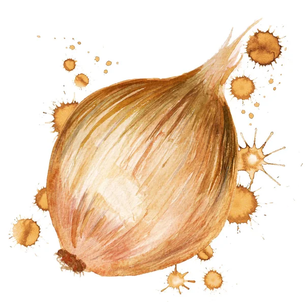 Boya lekesi ile soğan — Stok fotoğraf