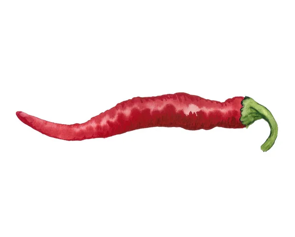 Roter Paprika — Stockfoto