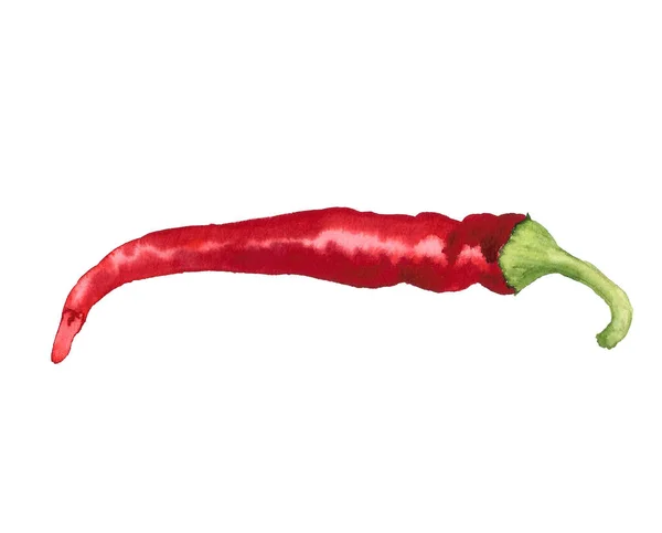 Roter Paprika — Stockfoto