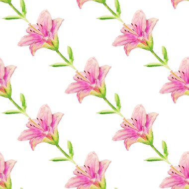 Pembe lily ile Seamless Modeli