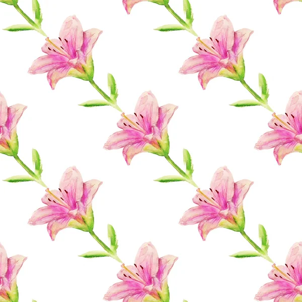 Seamless pattern with pink lily — Stock Photo, Image